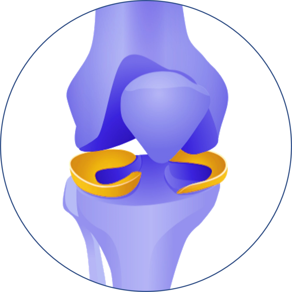 Lesiones de la rodilla